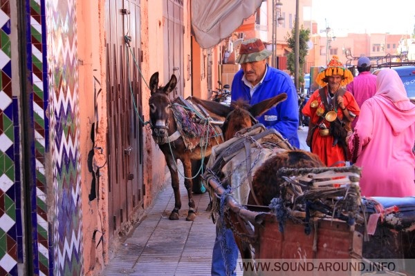 In the streets apart cars and motorbikes are frequently moving carts pulled by donkeys, mules or horses
