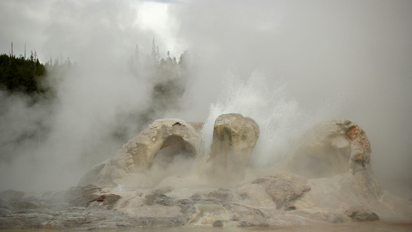 Geysers in Yellowstone National Park!